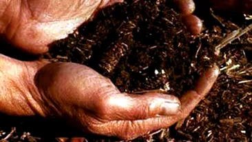 Dependenta stranie! O tanara mananca pamant zilnic, de zece ani!