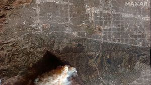 Distrugerea provocată de incendiile de la Los Angeles, surprinsă în imagini "înainte și după" din satelit