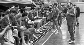 Galerie foto - poza 1