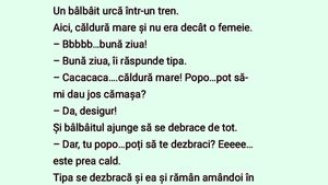 BANCUL ZILEI | Un bâlbâit urcă într-un tren