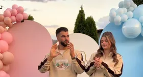 Galerie foto - poza 3