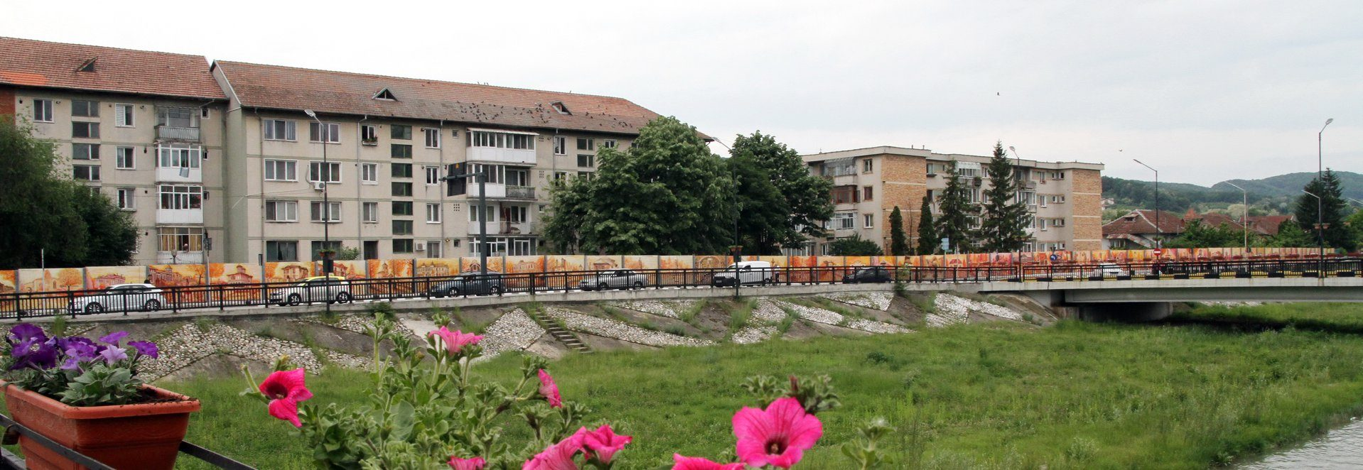 Lucrarea impresionantă a pictorului vâlcean