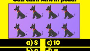Testul IQ la care 8 din 10 greșesc | Câți câini sunt în această poză: 8, 9, 10 sau 11?