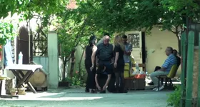 Galerie foto - poza 3