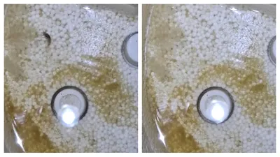 Un bărbat din Câmpina a stârnit un val de controverse după ce a filmat apa de la robinet. Ireal ce conținea, de fapt