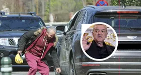 Galerie foto - poza 3