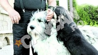 CANCAN l-a gasit pe fostul colonel SPP Gheorghe Trutulescu in conacul sau de la Sahateni: ""Tigareta II" e istorie, acum ma joc cu cainii"