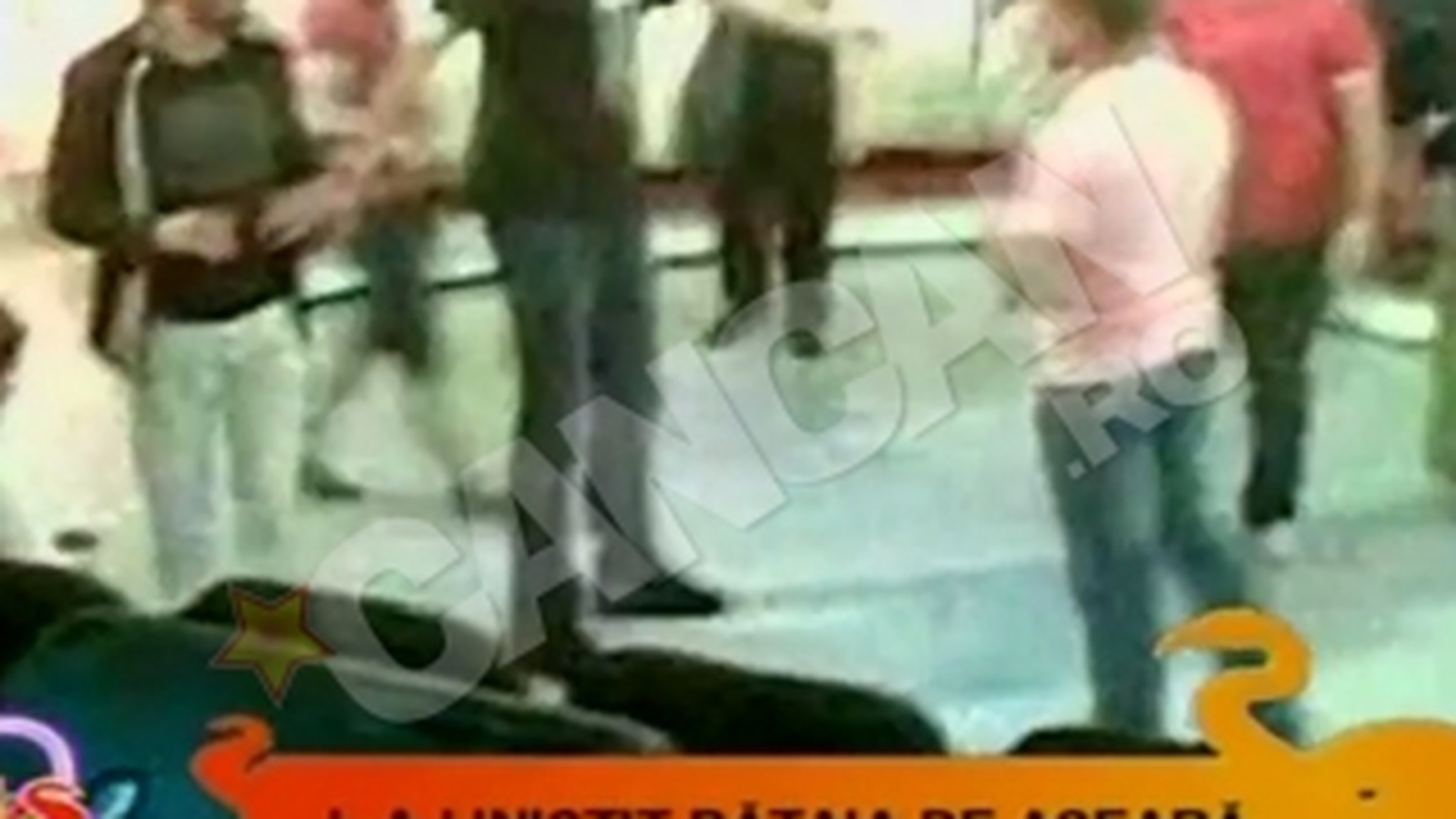 VIDEO Imagini de la bataia dintre Ogica si Florin Dumitrescu! Uite cum s-au injurat in direct!