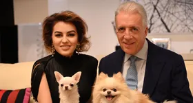 Galerie foto - poza 2