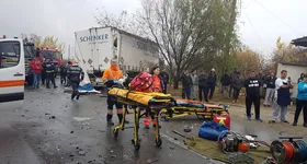 Galerie foto - poza 2