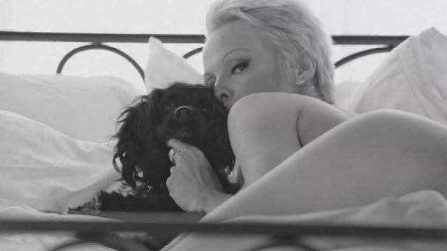 Pamela Anderson are 46 de ani si parca a oprit timpul in loc: Arata BESTIAL si s-a dezbracat din dragoste pentru caini! VIDEO