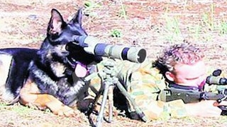 Cum se distreaza soldatii pe front