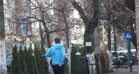 Galerie foto - poza 4