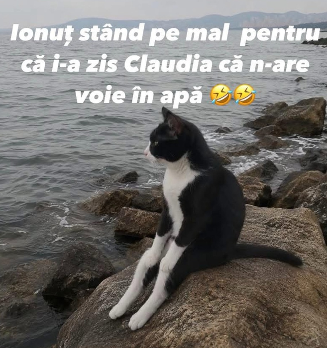 Insula iubirii 2026 meme-uri/ sursă foto: Instagram @Insula iubirii Memes