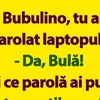 BANC | Bulă, Bubulina și parola de la laptop