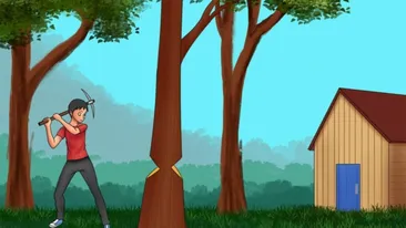 Test de inteligență | În această poză din pădure s-a strecurat o mare greșeală! Care?