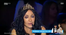 Galerie foto - poza 3