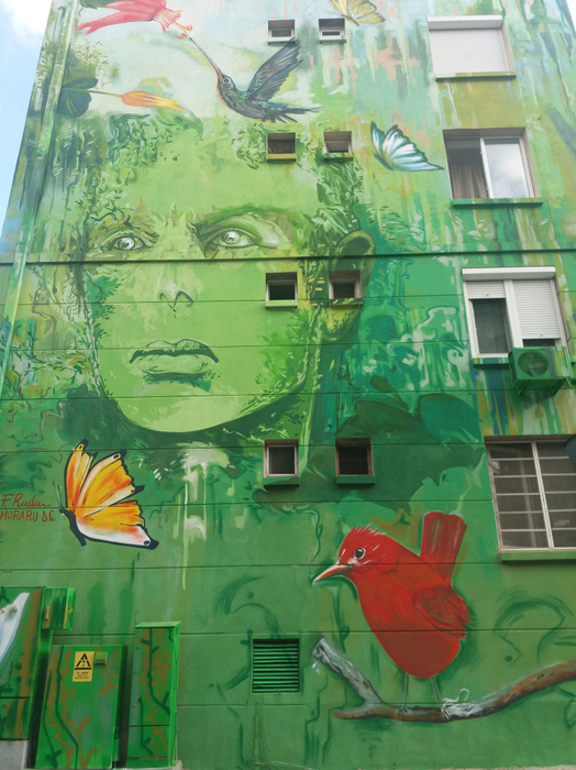 Pictura inspirată din starea de urgență