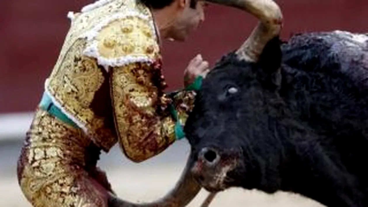 VIDEO Un toreador spaniol renumit a fost la un pas de moarte, fiind grav ranit de un taur