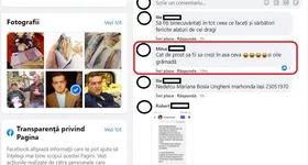 Galerie foto - poza 3