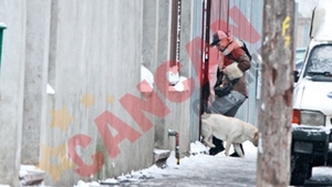 Labradorul i-a stricat buna dispozitie Loredanei