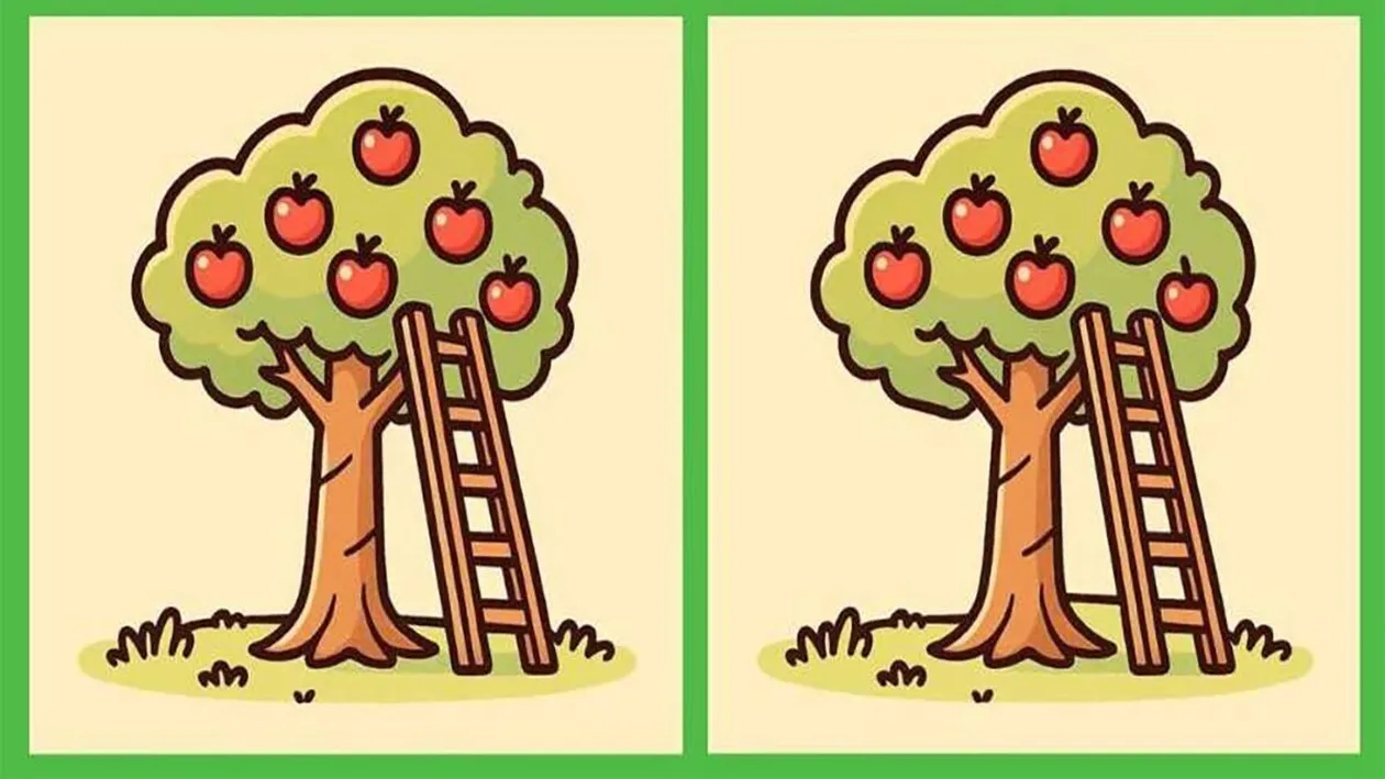 Test de inteligență | Acești doi meri par identici, dar nu sunt. Găsiți cele 3 diferențe!