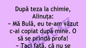 BANC | "Bulă, te-am văzut c-ai copiat după mine. O să se prindă profa!”