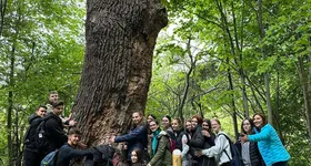 Galerie foto - poza 2