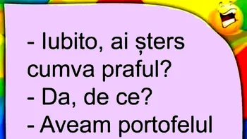 BANC | „Iubito, ai șters cumva praful?”
