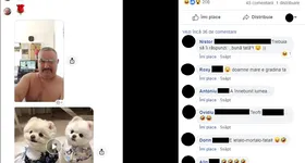 Galerie foto - poza 3