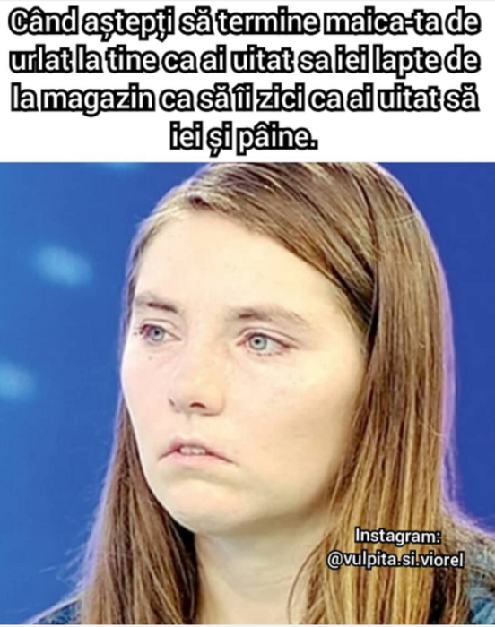 TOP cele mai bune glume cu Vulpița și Viorel! Soții Stegaru – cele mai celebre personaje de pe Internet