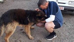 IMAGINI EMOŢIONANTE. Pompierul-erou din Bihor s-a reîntâlnit cu câinele pe care l-a salvat din foc