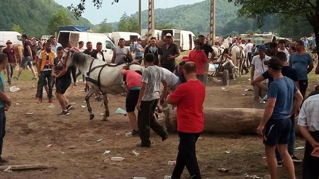 VIDEO. Cai loviți cu sălbăticie de proprietari, la un târg din Argeș. Motivul bătăii este halucinant
