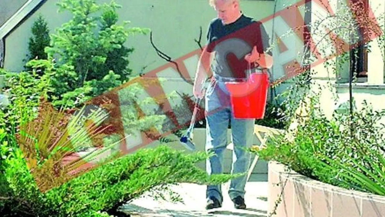 Gradina si cinema pe terasa blocului