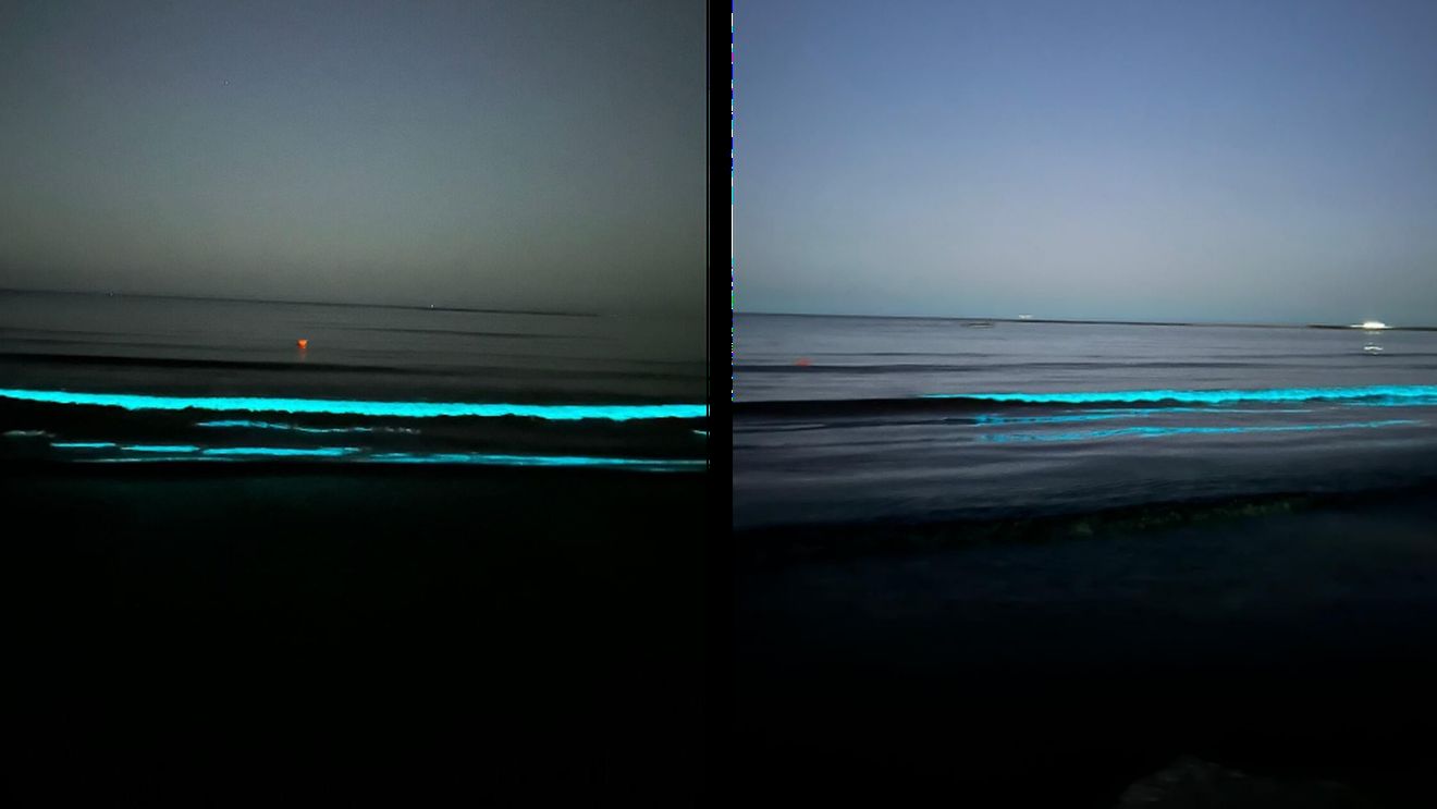 Valuri luminoase la Marea Neagră! Ce a provocat fenomenul special