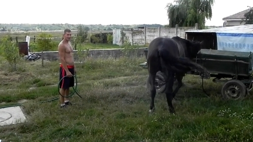 Face ce face si ajunge in centrul atentiei! Afla ce face tatal “micului Hercule”, Iulian Stroe, cand nu isi antreneaza copiii!