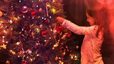 Brad natural sau artificial? Cum alegem bradul pentru Crăciun