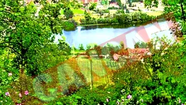 Si-a vandut castelul unui seic