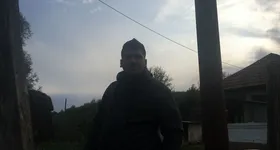 Galerie foto - poza 2