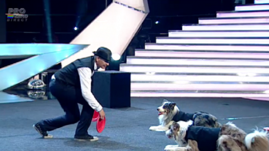Ce a ajuns să facă Bruno Icobeț, câștigătorul sezonului 3 Românii au Talent, de pe Pro TV și ce s-a întâmplat cu câinii care i-au adus 120.000 de euro