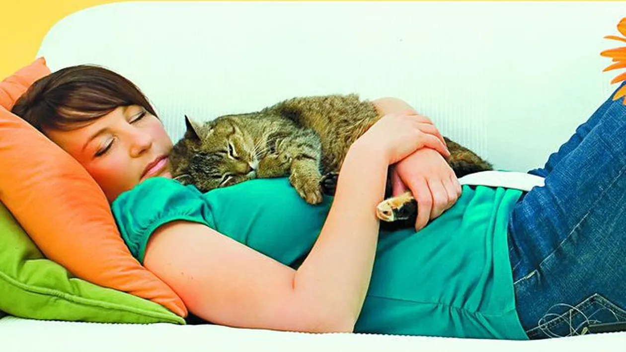 Beneficiile animalelor asupra sanatatii!