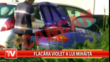 Traistariu si flacara violet