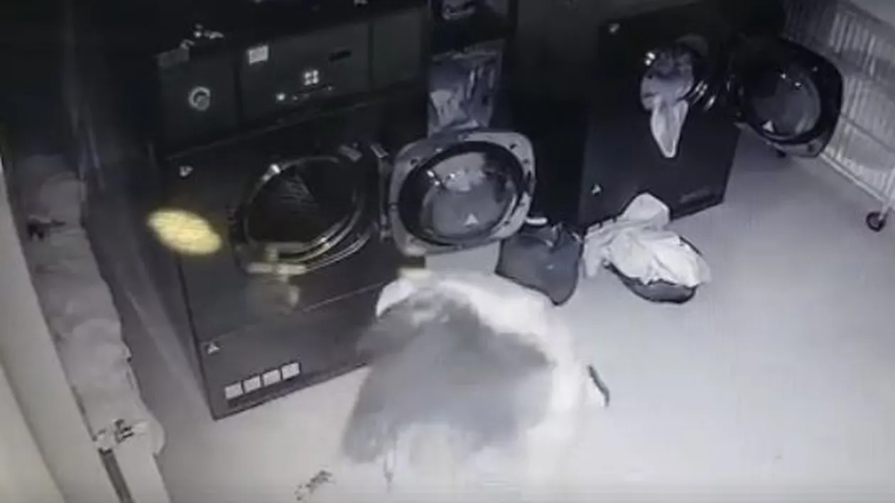 Femeia bătută de bărbatul care s-a lăudat cu fapta sa pe Facebook: „O să mă omoare”