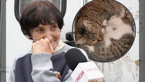 Povestea bătrânei de 70 de ani care trăiește într-o rulotă în cartierul milionarilor. 50 de pisici îi țin loc de familie!