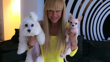 Rochita e transparenta, fetita e indecenta! Anda Adam si-a lasat fanii cu gura cascata! Poarta sau nu lenjerie intima?