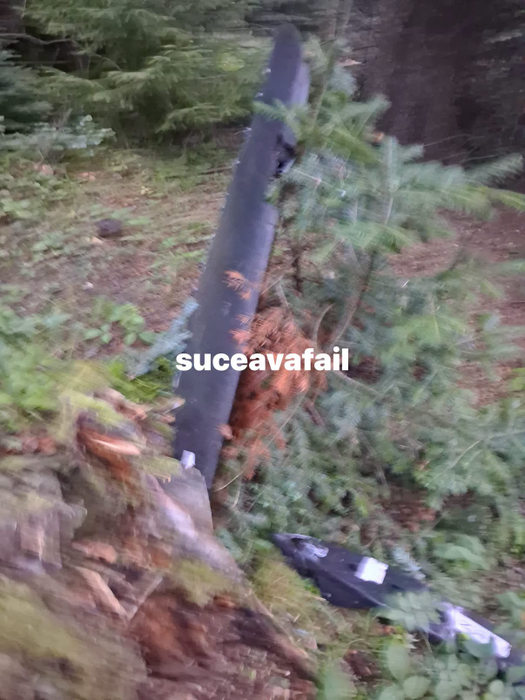 Sursa foto: Facebook / Suceava Fail