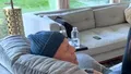 Ce s-a ales de Bruce Willis, după diagnosticul crunt. Ultimele imagini cu starul din „DIE HARD”