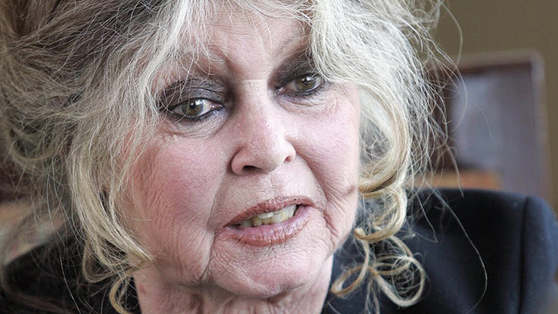 Brigitte Bardot denunţă demersurile pentru eutanasierea câinilor maidanezi din România