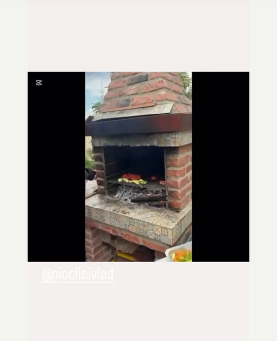 Fiul Monei Niculici s-a căsătorit chiar de ziua lui de naștere. Primele imagini de la cununia civilă