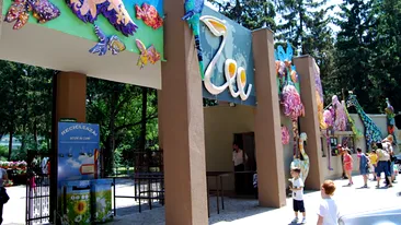 BREAKING | Incendiu la Grădina Zoologică din București. Pompierii intervin cu 11 autospeciale: arde o suprafață de 2000 de metri